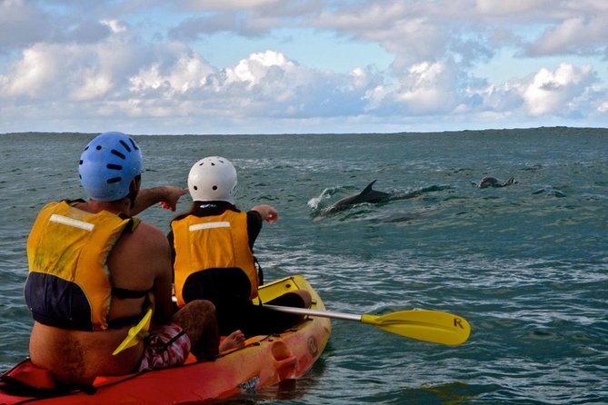 Byron Bay Combo: Hinterland Tour Including Minyon Falls And Kayaking With Dolphins - thumb 18