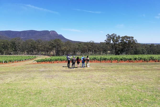 Hunter Valley Private Tour Including Wine, Chocolate, Cheese, Vodka, Gin Tasting - thumb 4