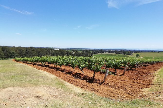 Hunter Valley Private Tour Including Wine, Chocolate, Cheese, Vodka, Gin Tasting - thumb 16