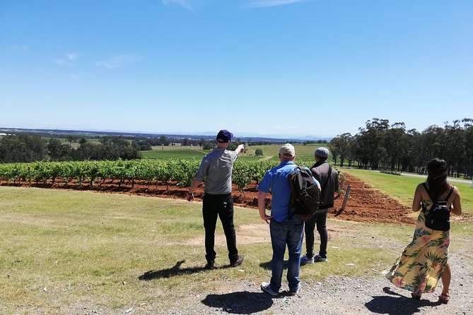 Hunter Valley Private Tour Including Wine, Chocolate, Cheese, Vodka, Gin Tasting - thumb 13