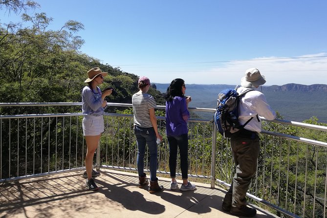 Blue Mountains Private Tour With Kangaroos & Koala Encounter - thumb 0