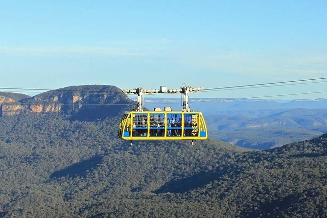 Blue Mountains Private Tour With Kangaroos & Koala Encounter - thumb 4