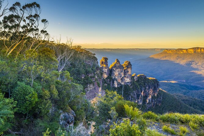 Blue Mountains Private Tour With Kangaroos & Koala Encounter - thumb 2