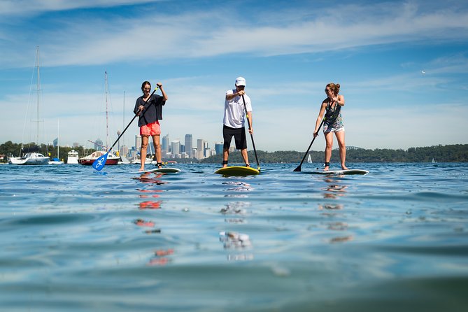 Stand Up Paddle On Sydney Harbour From Watsons Bay - C Tourism 0