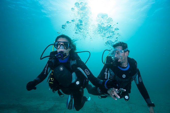 Try Scuba Diving Experience: Sydney - thumb 1