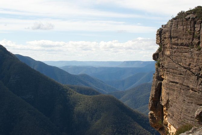 Inside The Greater Blue Mountains World Heritage - A Private Wildlife Safari Overnight - thumb 2