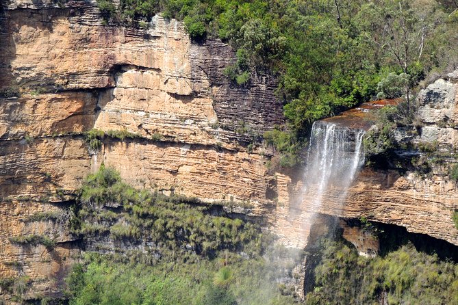Inside The Greater Blue Mountains World Heritage - A Private Wildlife Safari Overnight - thumb 9