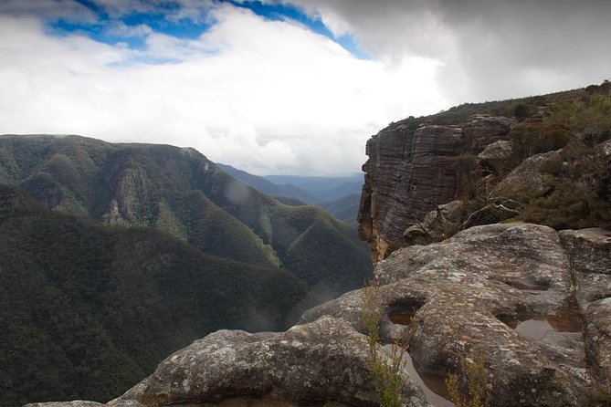 Inside The Greater Blue Mountains World Heritage - A Private Wildlife Safari Overnight - thumb 47