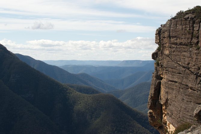 Inside The Greater Blue Mountains World Heritage - A Private Wildlife Safari Overnight - thumb 6