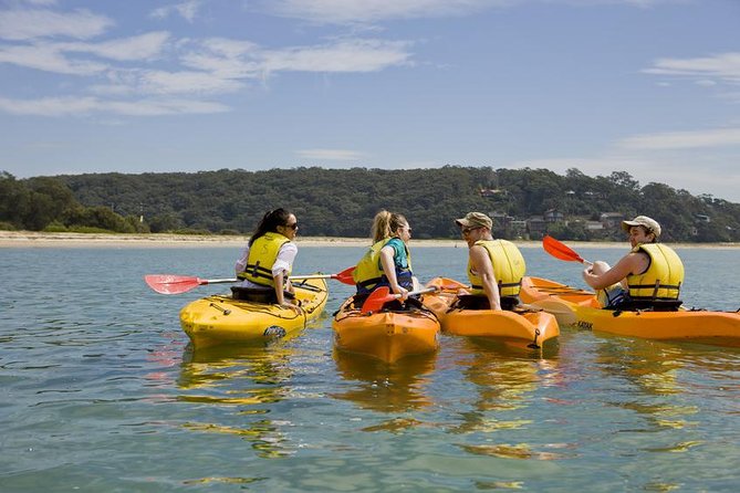 Beginner\'s Kayak Tour In Sydney - Gorgeous Aussie Beaches And Bays - Accommodation ACT 0