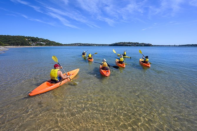 Beginner\'s Kayak Tour In Sydney - Gorgeous Aussie Beaches And Bays - thumb 5