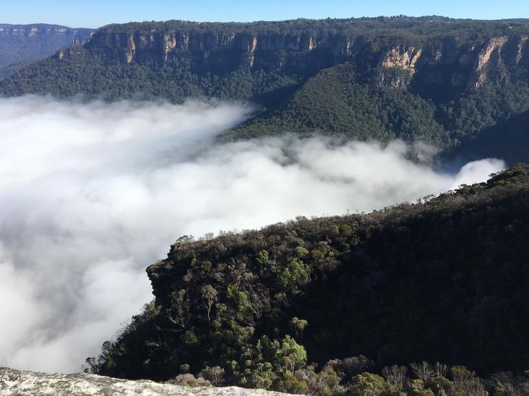Private Blue Mountains Day Trip By 4WD From Sydney Or The Blue Mountains - thumb 7