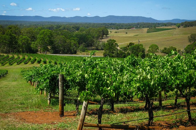 Private Luxury Tour: Hunter Valley Wineries With Cheese, Chocolate, Gourmet Food - thumb 1