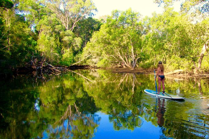 Byron Stand Up Paddle Nature Tour - thumb 3