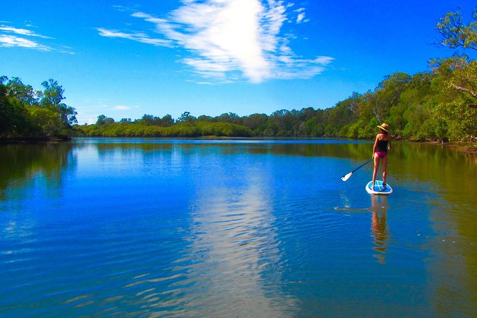 Byron Stand Up Paddle Nature Tour - thumb 5