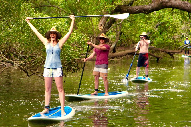 Byron Stand Up Paddle Nature Tour - thumb 7