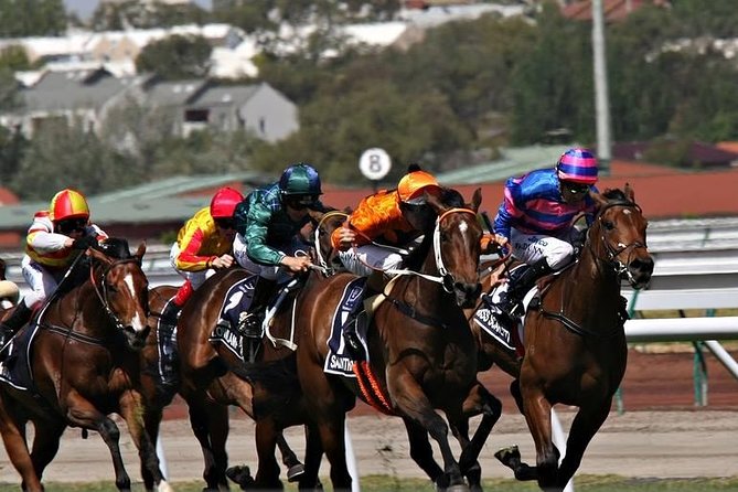 Sydney Harbour Melbourne Cup Cruise - Find Attractions 0