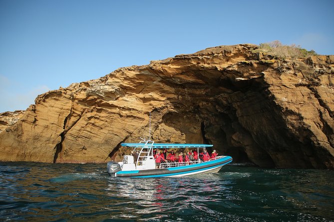 Hunter Coastal Adventure Tour By Boat From Newcastle - Find Attractions 2