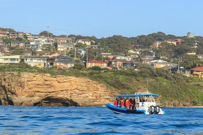 Hunter Coastal Adventure Tour By Boat From Newcastle - Find Attractions 5
