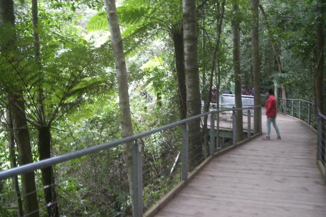 All-Day Blue Mountains Private Tour With Professional Guide For Up To 4 People - thumb 20