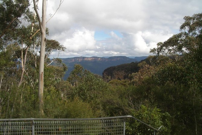 All-Day Blue Mountains Private Tour With Professional Guide For Up To 4 People - thumb 14