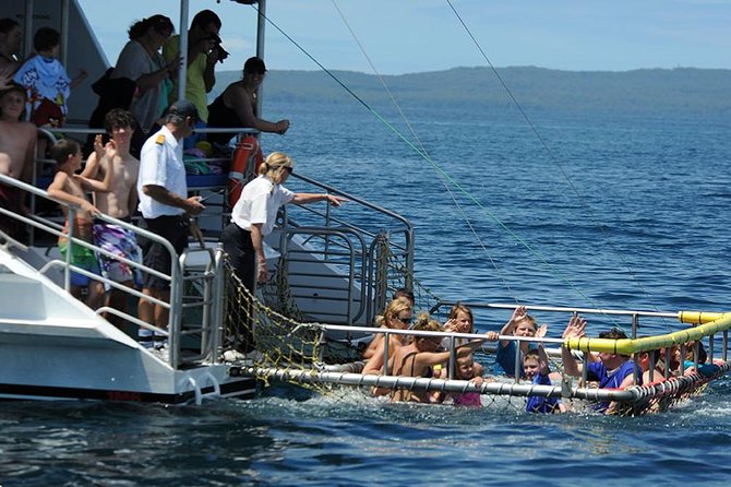Jervis Bay Boom Netting And Dolphins Tour - thumb 1