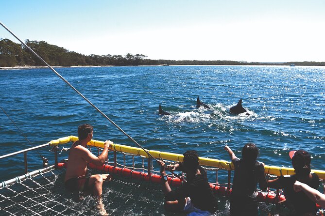 Jervis Bay Boom Netting And Dolphins Tour - thumb 2
