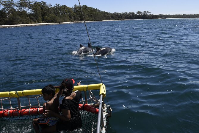 Jervis Bay Boom Netting And Dolphins Tour - Find Attractions 6