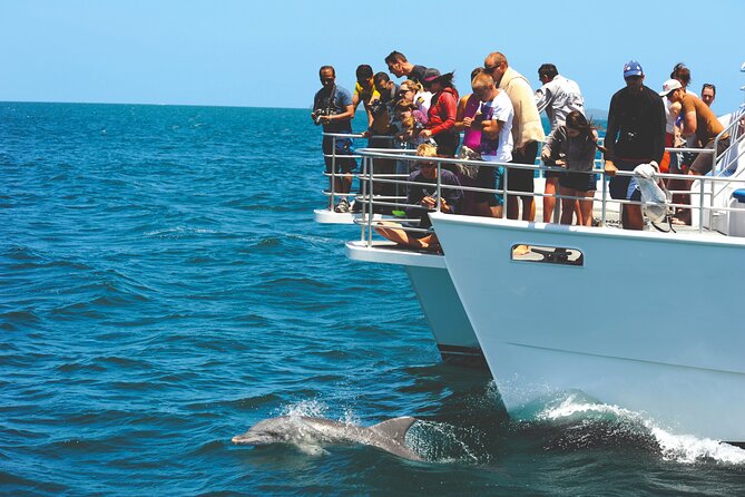 Jervis Bay Boom Netting And Dolphins Tour - Find Attractions 10