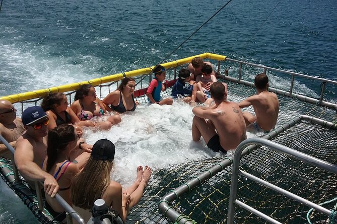 Jervis Bay Boom Netting And Dolphins Tour - Find Attractions 4