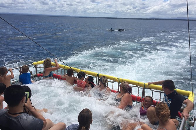 Jervis Bay Boom Netting And Dolphins Tour - Find Attractions 14