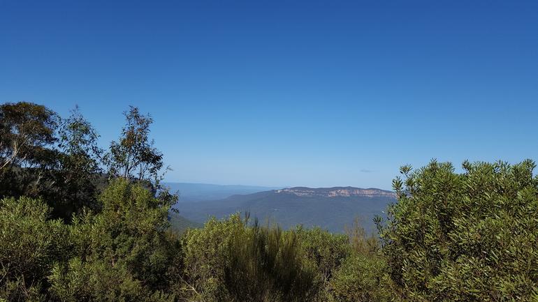 Blue Mountains Wildlife Full-Day Sights And Hiking From Sydney - thumb 5