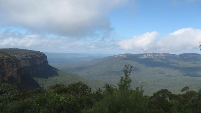 Blue Mountains Deluxe Small-Group Eco Wildlife Tour From Sydney - Accommodation ACT 10
