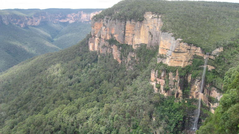 Blue Mountains Deluxe Small-Group Eco Wildlife Tour From Sydney - Accommodation ACT 9