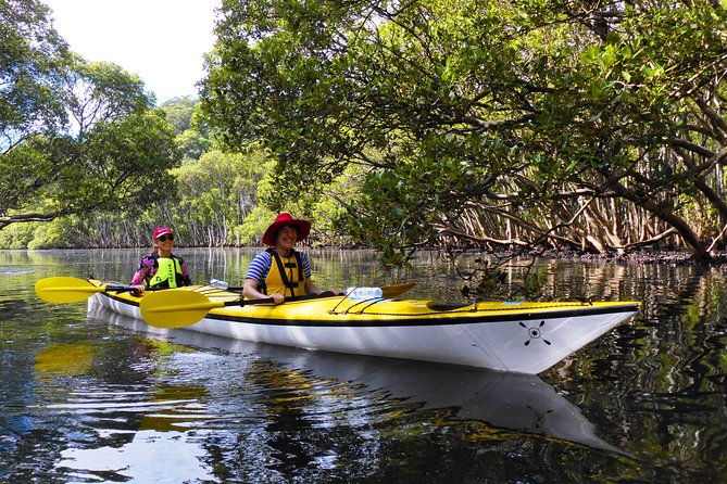 Half-Day Sydney Middle Harbour Guided Kayaking Eco Tour - Attractions Perth 10