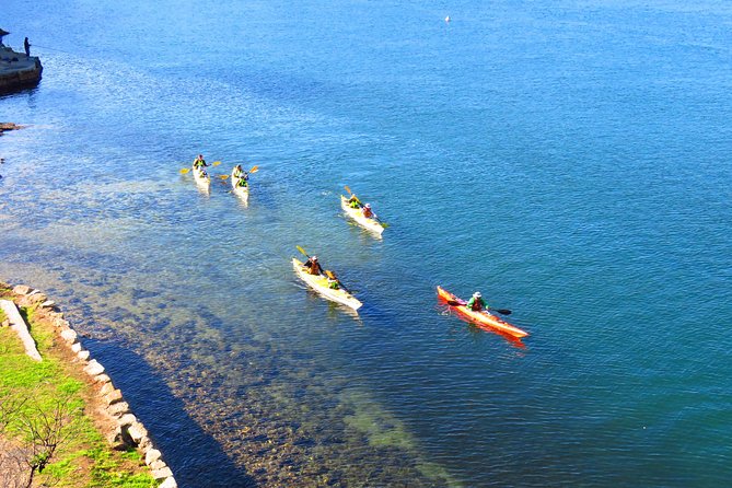 Half-Day Sydney Middle Harbour Guided Kayaking Eco Tour - Attractions Perth 8