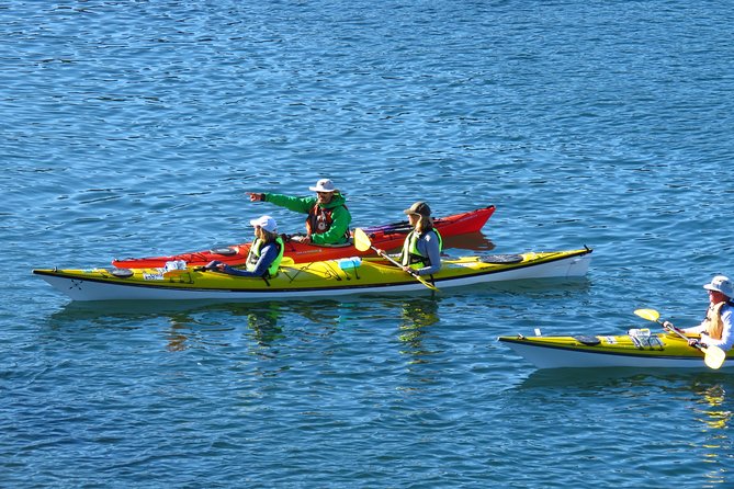 Half-Day Sydney Middle Harbour Guided Kayaking Eco Tour - Attractions Perth 3