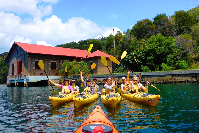 Half-Day Sydney Middle Harbour Guided Kayaking Eco Tour - Accommodation ACT 4