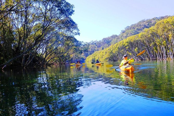 Half-Day Sydney Middle Harbour Guided Kayaking Eco Tour - Accommodation ACT 5