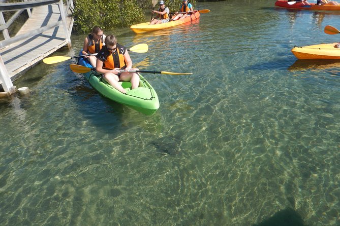 Batemans Bay Glass-Bottom Kayak Tour Over 2 Relaxing Hours - thumb 5