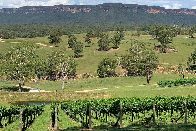 Luxury Blue Mountains Tour With Aussie BBQ Lunch And Wine Tasting - thumb 5