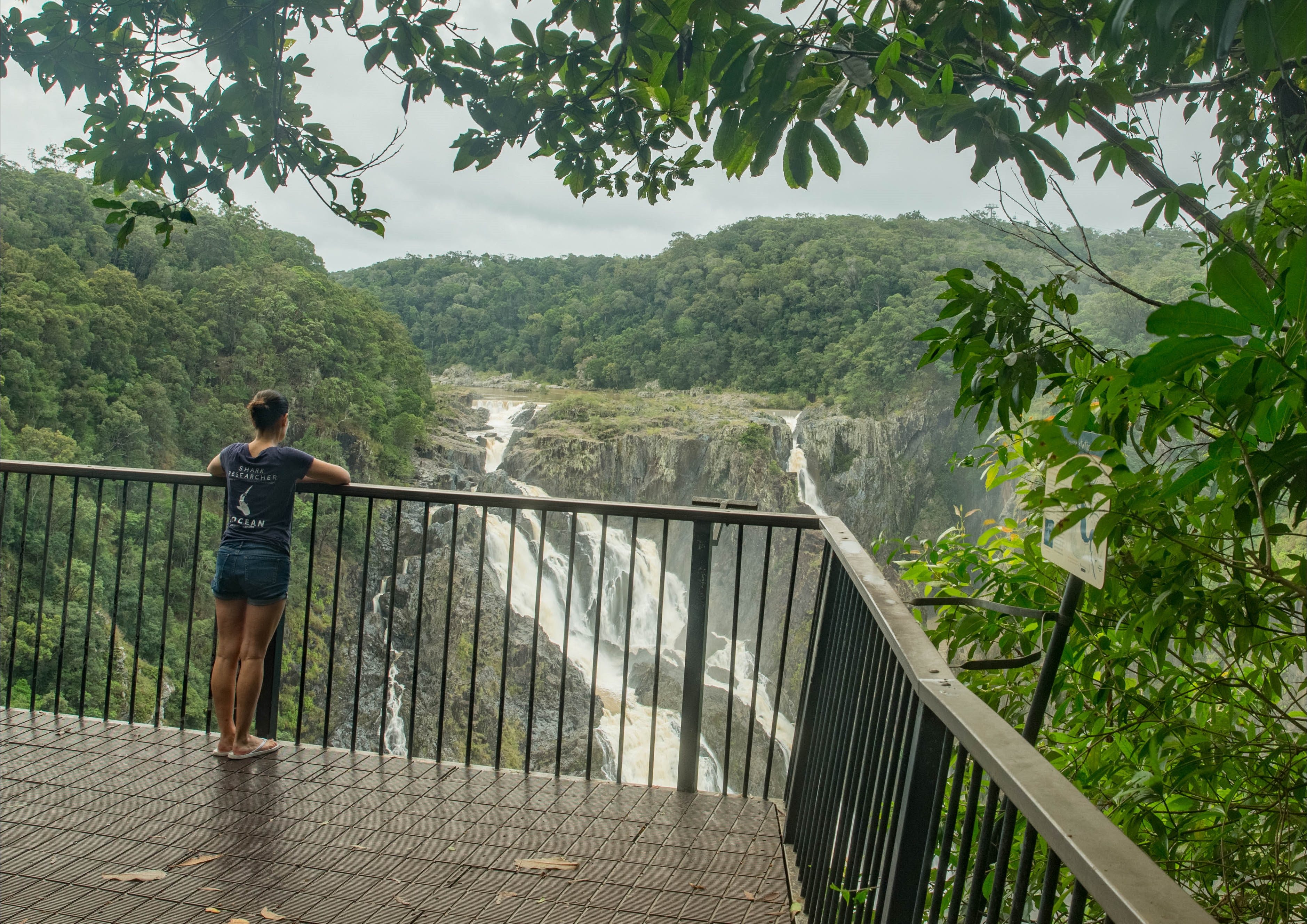 Barron Gorge National Park - Tourism Cairns