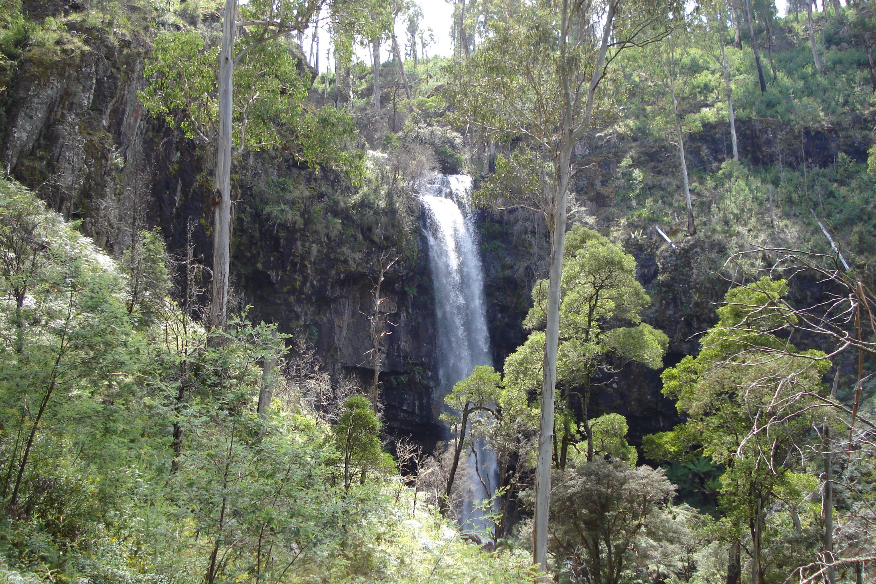 Bindaree Falls - Accommodation Redcliffe