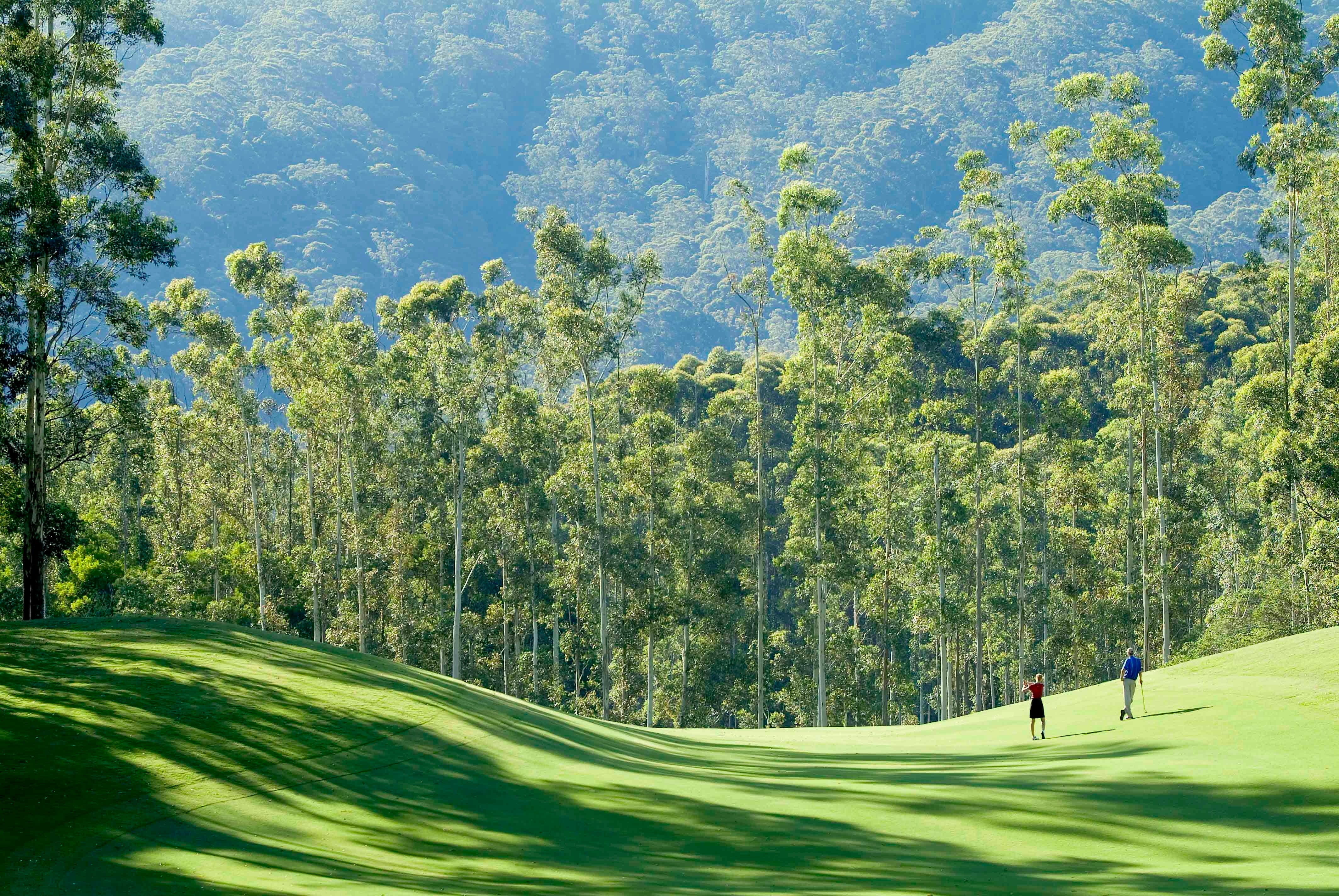 Bonville Golf Resort - Tourism Cairns