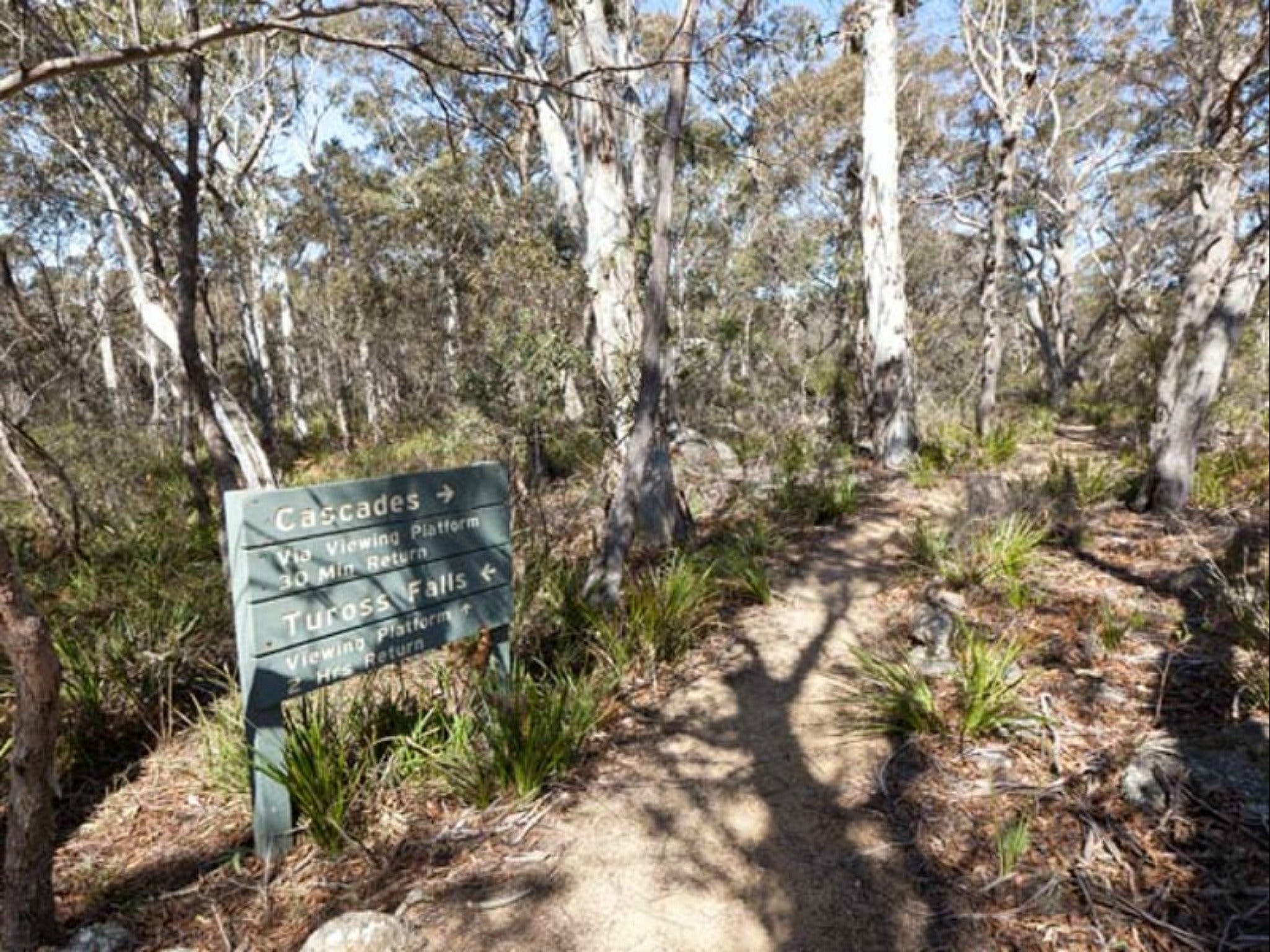 Cascades walking track and viewing platform - Find Attractions