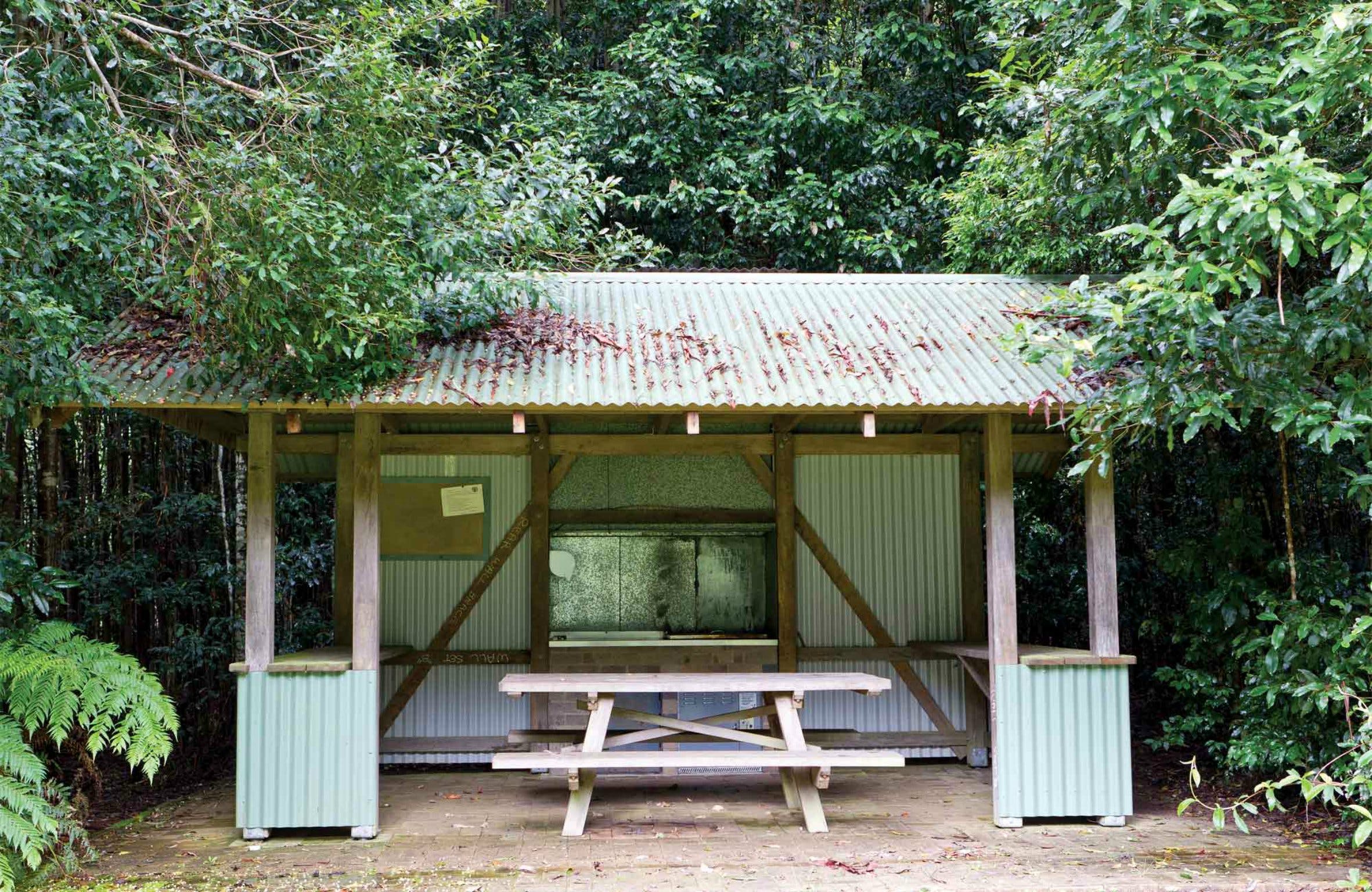 Coachwood Picnic Area - Attractions Melbourne
