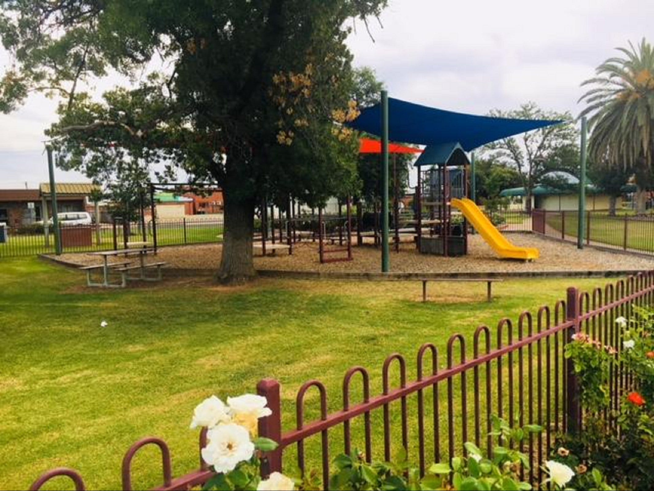 Cobram Mivo Park and Playground - Wagga Wagga Accommodation