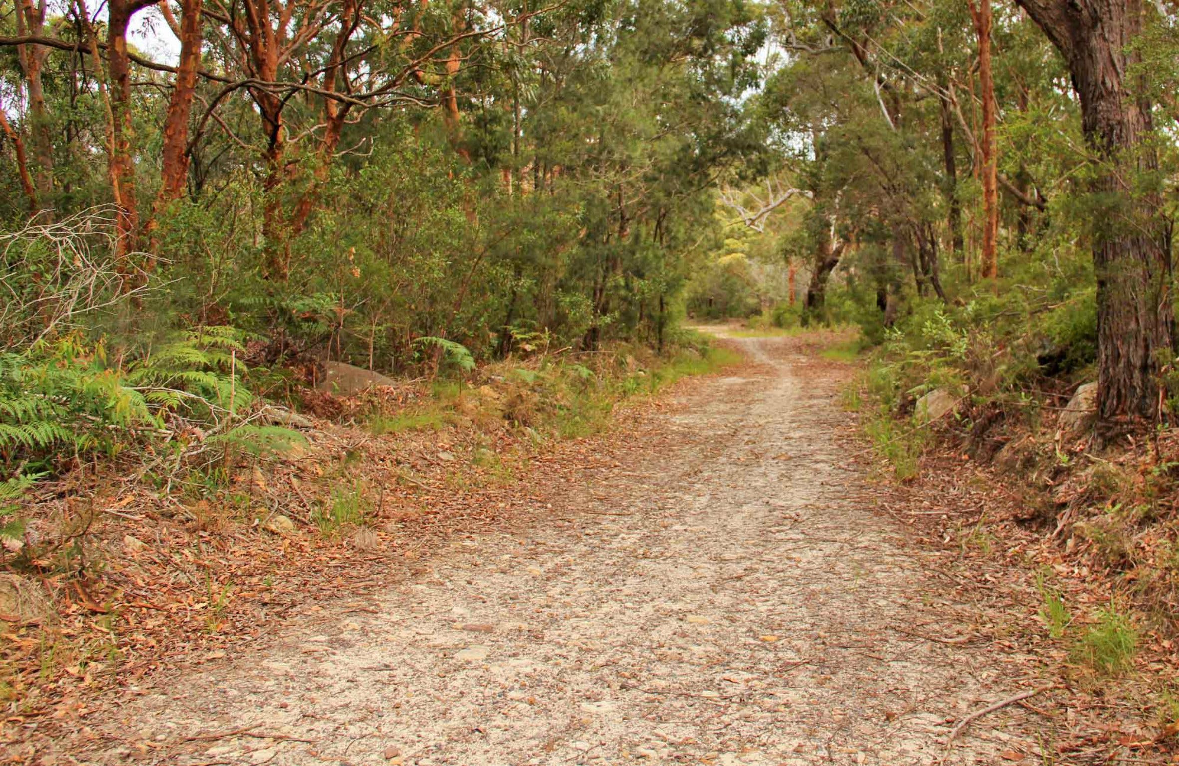 Daleys Point Walking Track - Find Attractions