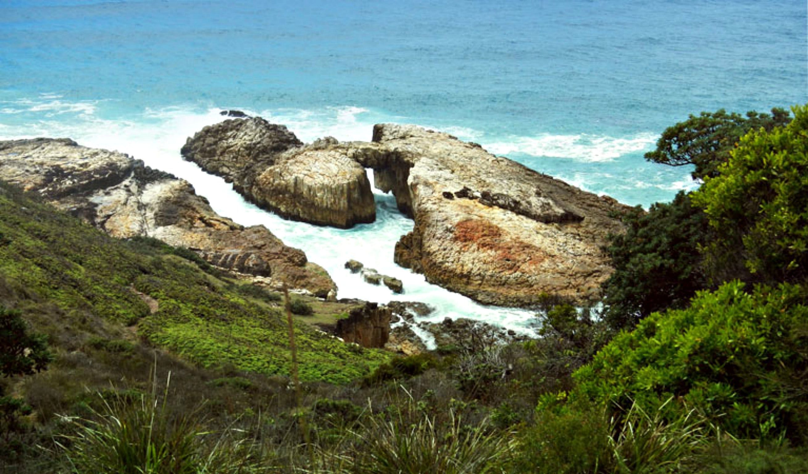 Diamond Head Loop Walk - Surfers Gold Coast
