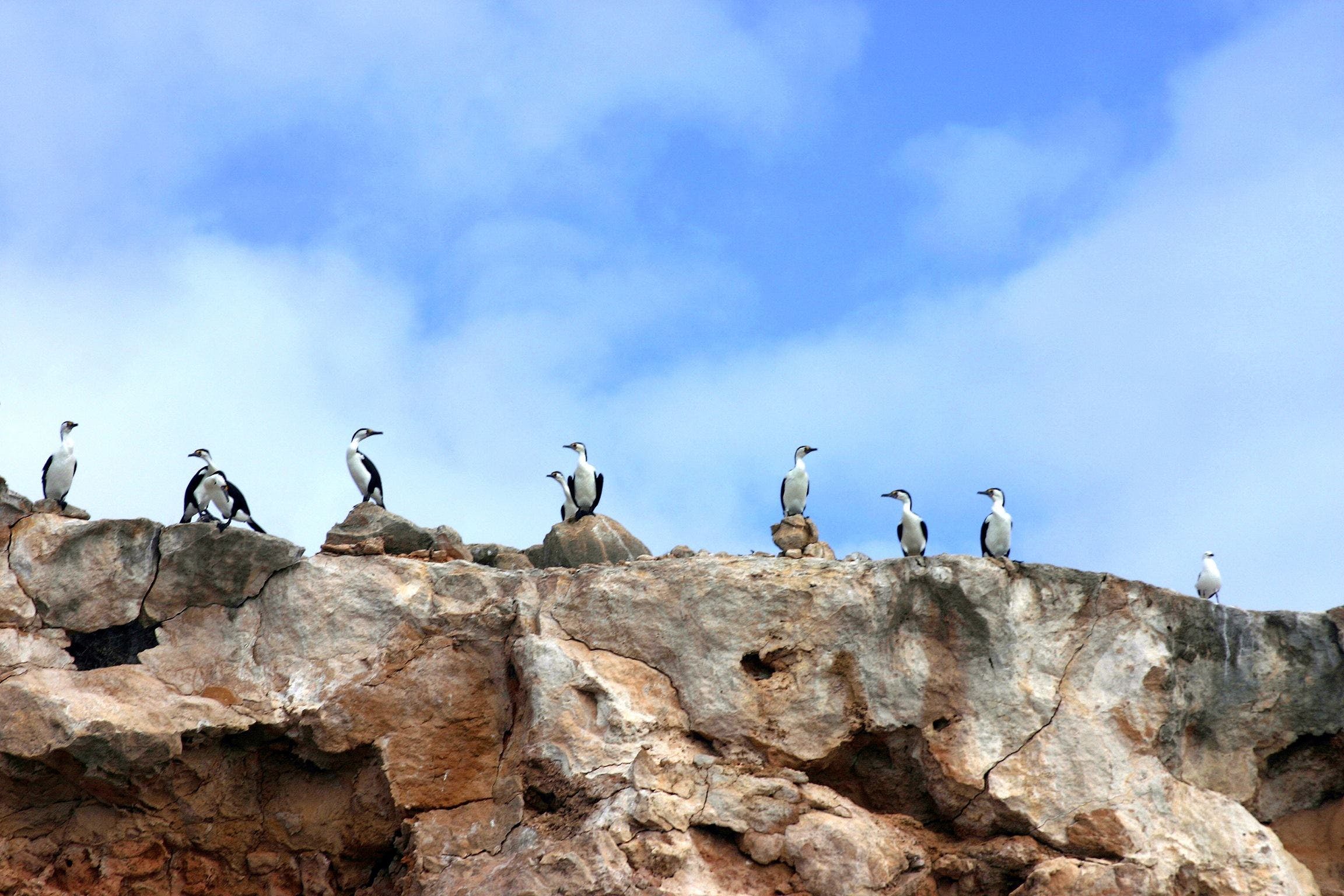 Dirk Hartog Island National Park - Nambucca Heads Accommodation